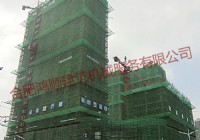 濱湖向上城組群塔機及施工升降機項目
