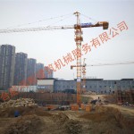 亳州遠(yuǎn)大紫京府項目