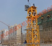 金輝地產住宅產業化項目-福建卓越建設PT7520-16
